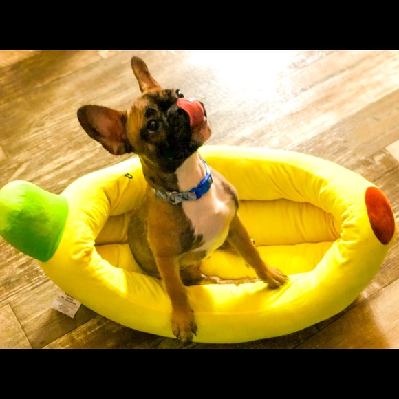 Nandog Other Banana Pet Bed Poshmark